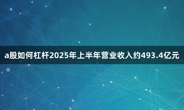 a股如何杠杆2025年上半年营业收入约493.4亿元